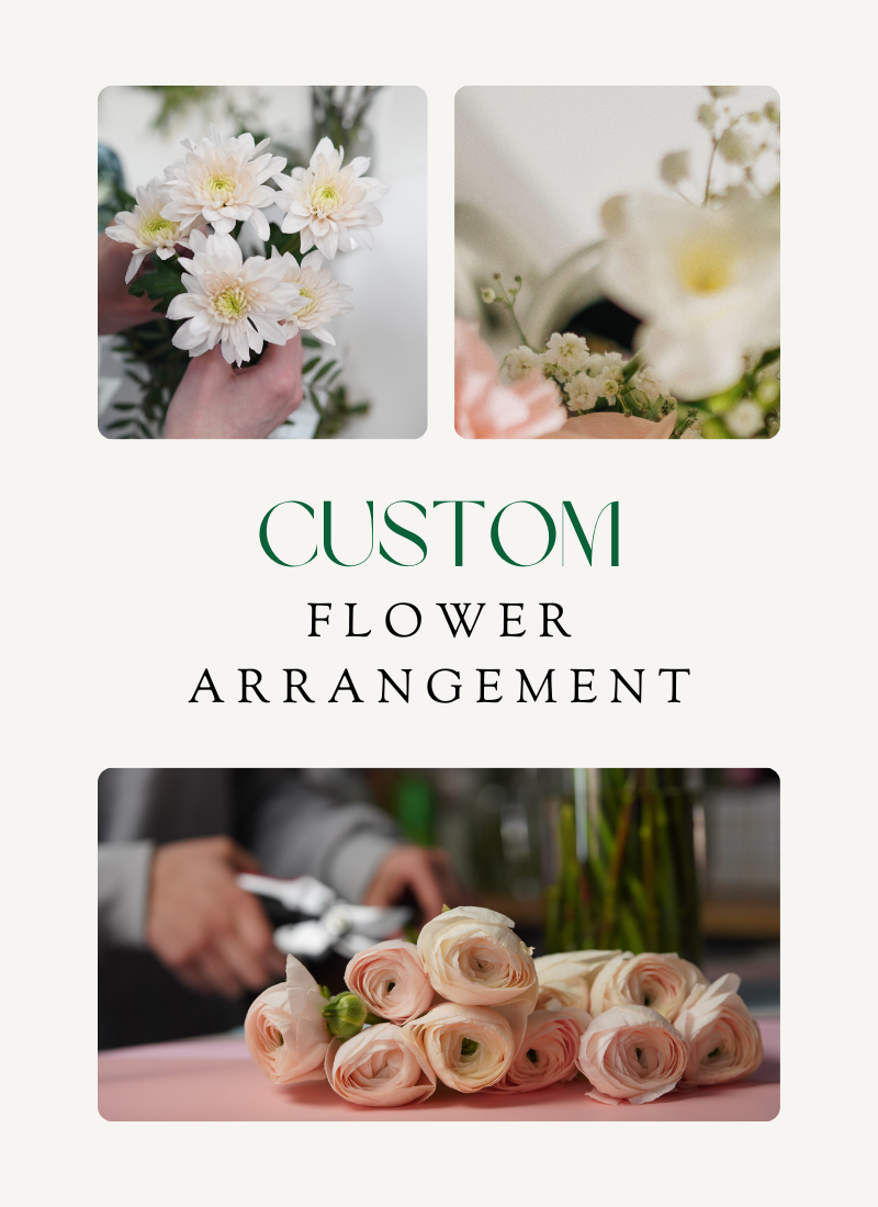 offer-banner